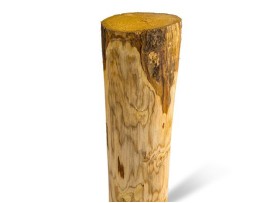 Kastanje Paal 14-16cm geschild